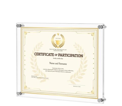 Wholesale custom acrylic wall mounted certificate frame